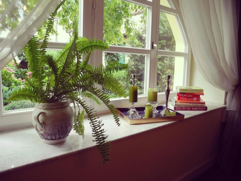 Отели типа «постель и завтрак» The Secret Garden Boutique B&B Вильнюс-43